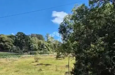 Terreno à venda na Linha Palmeiro, 01, Caravaggio, Farroupilha