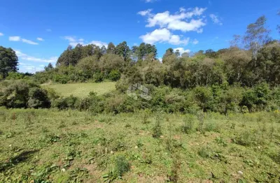 Terreno à venda na Área Rural, 37, Zona Rural, Farroupilha