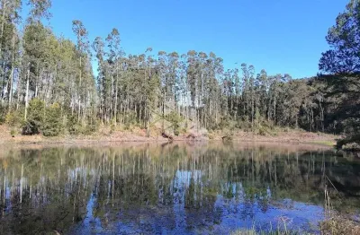 Chácara / sítio à venda na Área Rural, 1, Zona Rural, Farroupilha