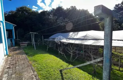 Chácara / sítio com 3 quartos à venda na Área Rural, 1, Linha Palmeiro, Farroupilha