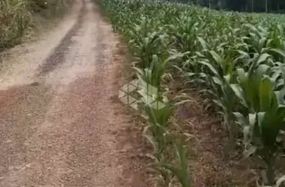 Terreno à venda na Rua 1, 01, Centro, São Vendelino