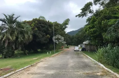 Terreno em condomínio fechado com 456,82m² a venda - ratones, florianópolis sc.