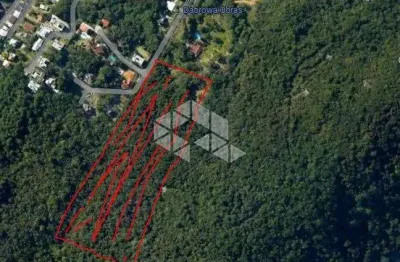 Terreno com 49.845,61m² no bairro itacorubi em florianópolis/sc.