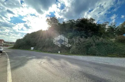 - terreno industrial próxmo a rota do sol em garibaldi