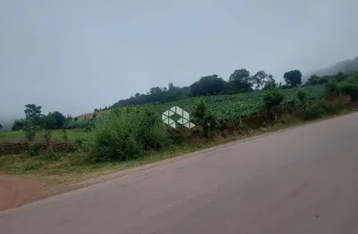 Chácara / sítio com 1 quarto à venda na Vinte E Cinco Julho, S/n, 2, Centro, Coronel Pilar