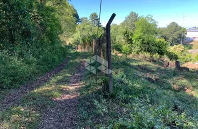 Chácara / sítio com 1 quarto à venda na 1, 1, São Miguel, Garibaldi