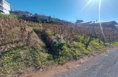 Terreno à venda na Ima Dorothee, 4, Alfândega, Garibaldi