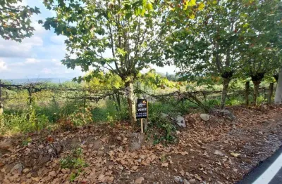 Chácara / sítio com 1 quarto à venda na Linha São Jorge, 23, Centro, Coronel Pilar