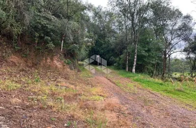 Terreno à venda na Rodovia Vcr 813, 1, Centro, Carlos Barbosa
