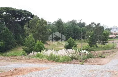 Terreno à venda na Arcangelo Chiele, 1004, São Luiz, Farroupilha