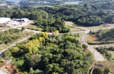 Terreno à venda na Clemente Pedro Dalcin, 1, Tamandaré, Garibaldi
