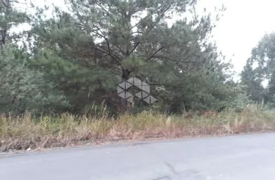 Terreno à venda na Br 470 Km 224, 1, Centro, Garibaldi