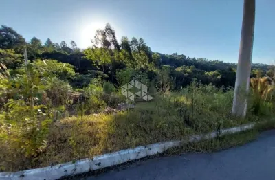 Terreno à venda na Rua Plauto de Abreu, 1, Santo Antão, Bento Gonçalves