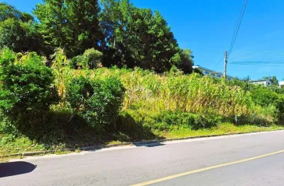 Terreno à venda na Cristóvão Colombo, 100, Santa Terezinha, Garibaldi