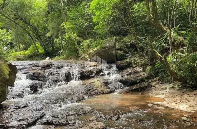 Chácara / sítio à venda na Principal, S/n, 53, São Luiz de Castro, Boa Vista do Sul