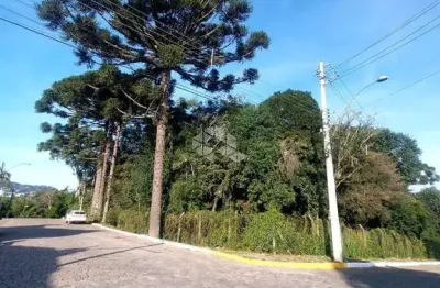 Terreno à venda na Alino Lorenzini, 129, Peterlongo, Garibaldi