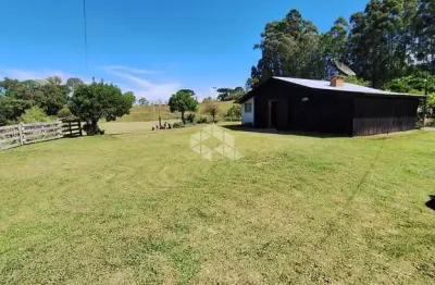 Chácara / sítio com 3 quartos à venda na João Romio, 100, Alfândega, Garibaldi