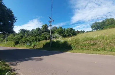 Terreno à venda na Rota Do Sol, 45, São Luiz de Castro, Boa Vista do Sul