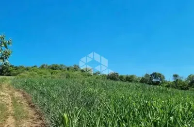 Grande área a venda nas proximidades do centro de boa vista do sul.