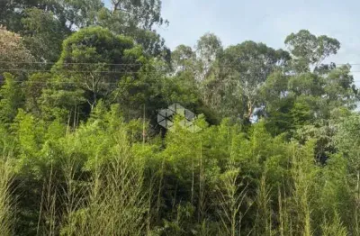 Terreno à venda na São Roque Figueira De Melo, 14, Peterlongo, Garibaldi