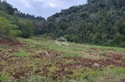 Chácara / sítio à venda na Linha São José, 76, Centro, Coronel Pilar