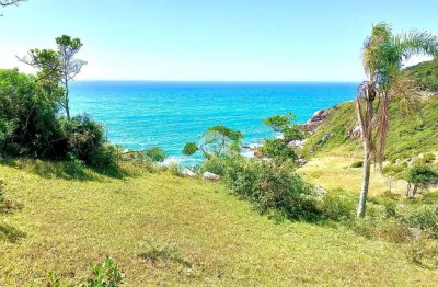 Terreno com vista para o mar, no morro da ferrugem.