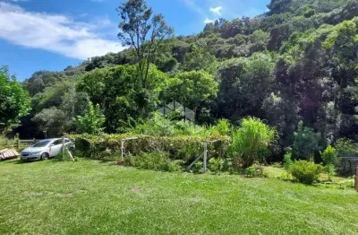 Chácara / sítio com 2 quartos à venda na Linha São Paulo, 705, Zona Rural, Canela