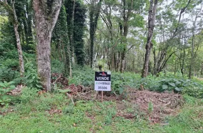 Terreno com 900m², plano, no Vale dos Pinheiros, Gramado, a 10km do Centro