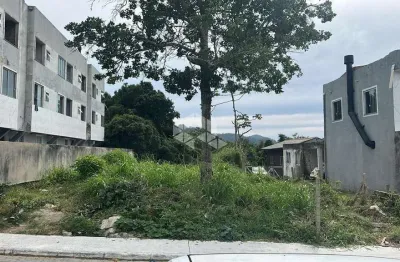 Terreno à venda na Servidão Vicentina Custódia dos Santos, 58, Ingleses do Rio Vermelho, Florianópolis