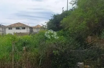 Terreno à venda na Servidão Manoel Pacífico da Silva, 229, Ingleses do Rio Vermelho, Florianópolis