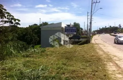 Terreno à venda na Rodovia Armando Calil Bulos, 4, Vargem do Bom Jesus, Florianópolis