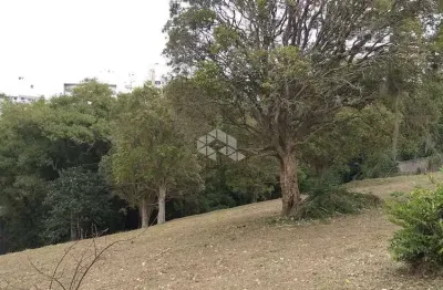 Terreno à venda na Servidão do Palmeiras, 1, Itacorubi, Florianópolis