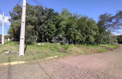 Terreno à venda na Peru, 13, Cidade Nova, Ivoti