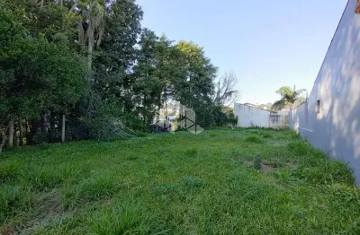 Terreno à venda na Cristóvão Colombo, 173, Farroupilha, Ivoti