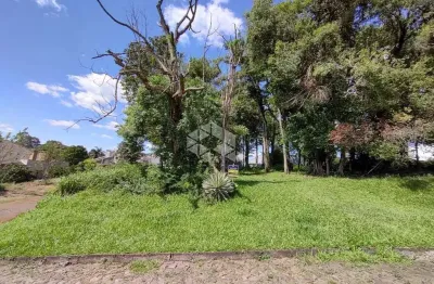 Terreno à venda na Lobo Da Costa, 247, Harmonía, Ivoti