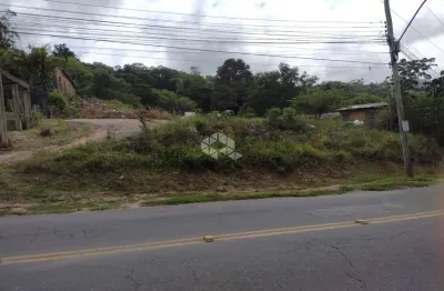 Terreno à venda avenida professor oscar pereira, cascata - porto alegre