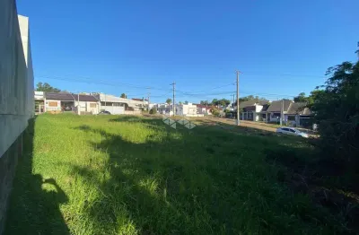 Terreno à venda na Professor Simão H. A Campis, 257, João Alves, Santa Cruz do Sul