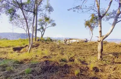 Terreno à venda na Br-471, 99, Renascença, Santa Cruz do Sul