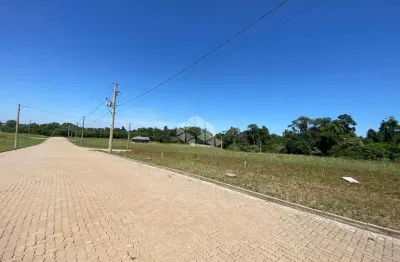 Terreno plano com sol da manhã, em linha santa cruz