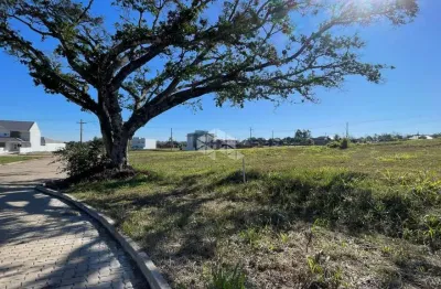 Terreno à venda na Avenida Prefeito Orlando Oscar Baumhardt, 3210, Linha Santa Cruz, Santa Cruz do Sul