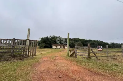 Chácara / sítio com 3 quartos à venda na Cerro Alegre Alto, 1, Área Rural de Santa Cruz do Sul, Santa Cruz do Sul
