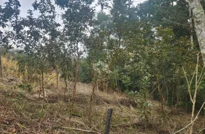 Chácara / sítio à venda na Rs 418, 7000, Linha Antao, Santa Cruz do Sul