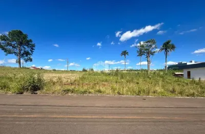 Terreno à venda na Rua Professora Berenice Paranhos da Luz, 960, João Alves, Santa Cruz do Sul