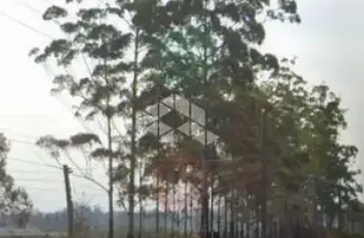 Terreno à venda na Rodovia RS-118, 6, Vila Elsa, Viamão
