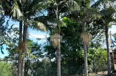 Chácara / sítio à venda na Rua Dez de Novembro, 707, Santa Isabel, Viamão