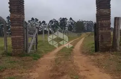 Chácara / sítio à venda na Rs-040 Km 35, Nº 2833, Parada 107 - Morro Grande, 22, Vila Augusta, Viamão