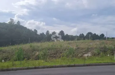 Terreno à venda na Rua Gilberto Cabeda Menna Barreto, 365, São Giácomo, Caxias do Sul