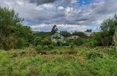Terreno à venda na Dorivia Ferrasso Dos Reis, 28, Forqueta, Caxias do Sul