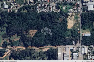 Terreno de 31.883,94 no bela vista para loteamento ou condomínio fechado, localização privilegiada