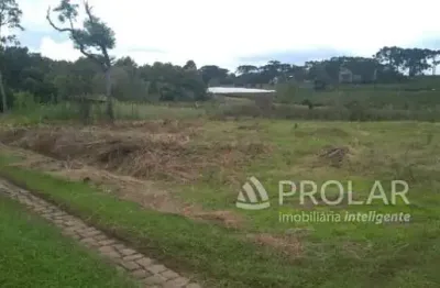 Terreno à venda na Rua Ludovico Cavinato, 405, Nossa Senhora da Saúde, Caxias do Sul